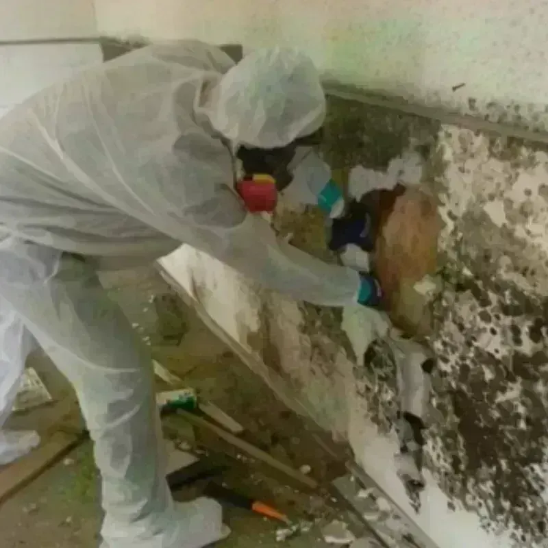 Mold Remediation and Removal in Passaic County, NJ