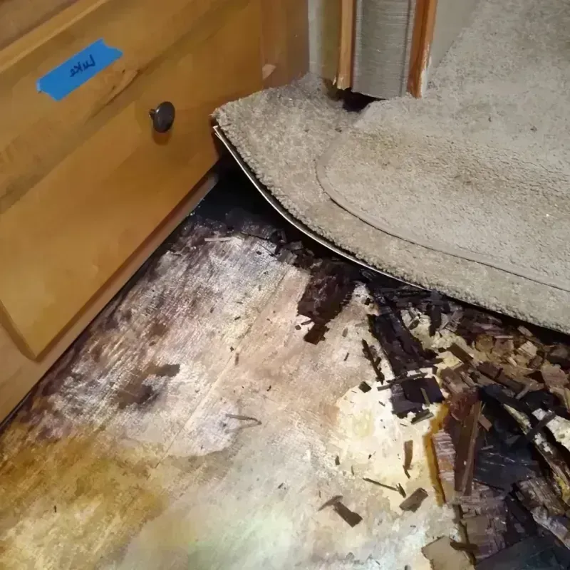 Wood Floor Water Damage in Passaic County, NJ